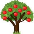 Cartoon apple tree with green crown and ripe red apples isolated on white Royalty Free Stock Photo